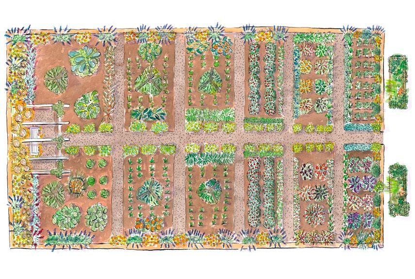 Sketch a Garden Plot