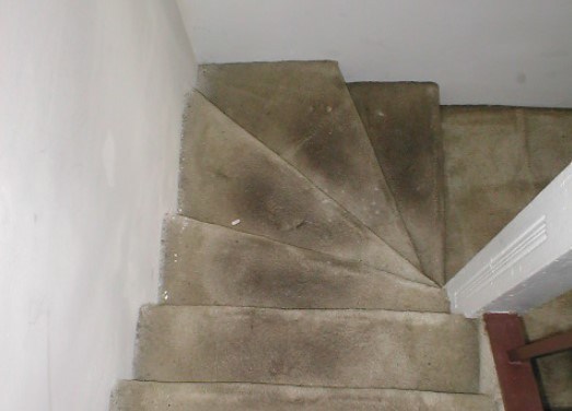 Stairs with light colored carpet full of dark stains
