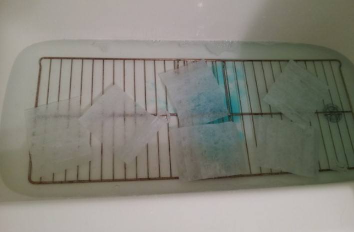 Oven racks inside bath tube filled with water and five dryer sheets