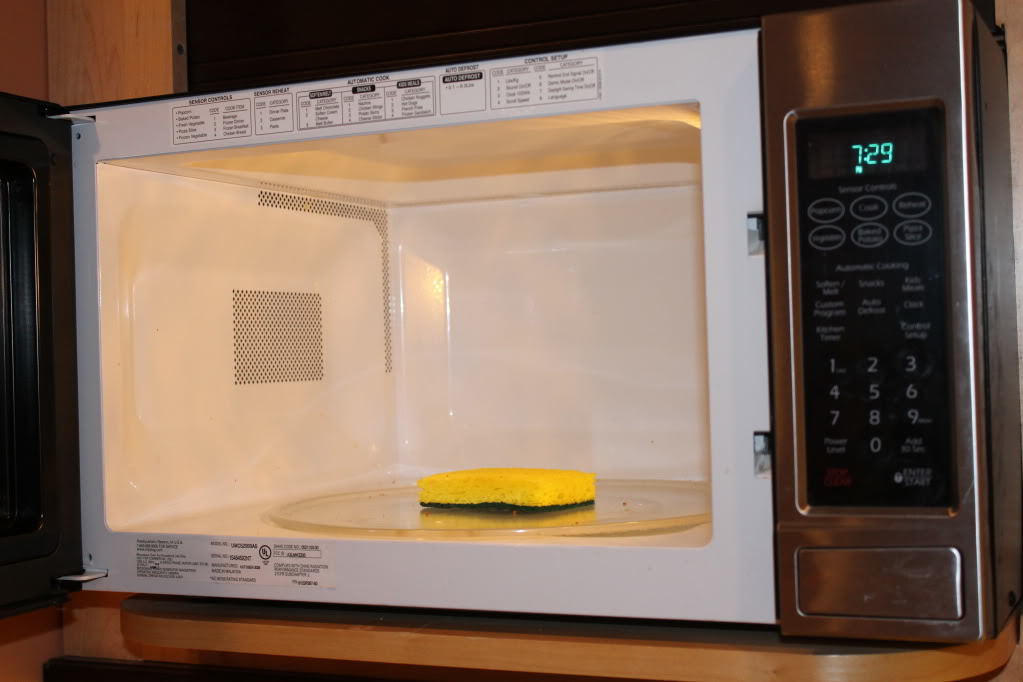 Sponge inside an open microwave with the light on