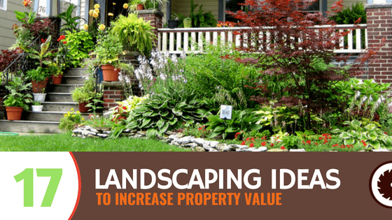 Landscaping ideas