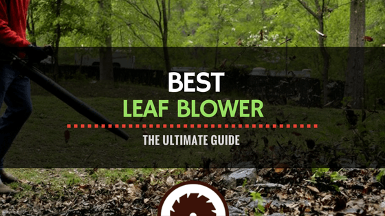 Leaf Blower Review