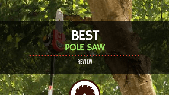 Pole Saw Review