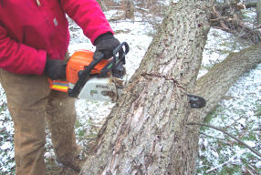 Tree Cutting Methods Using a Chainsaw