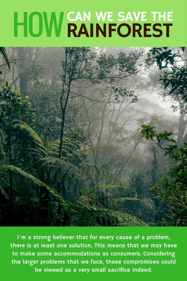 How can we save the rainforest?