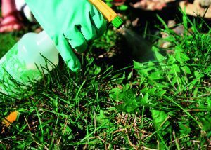 Eco-friendly herbicides