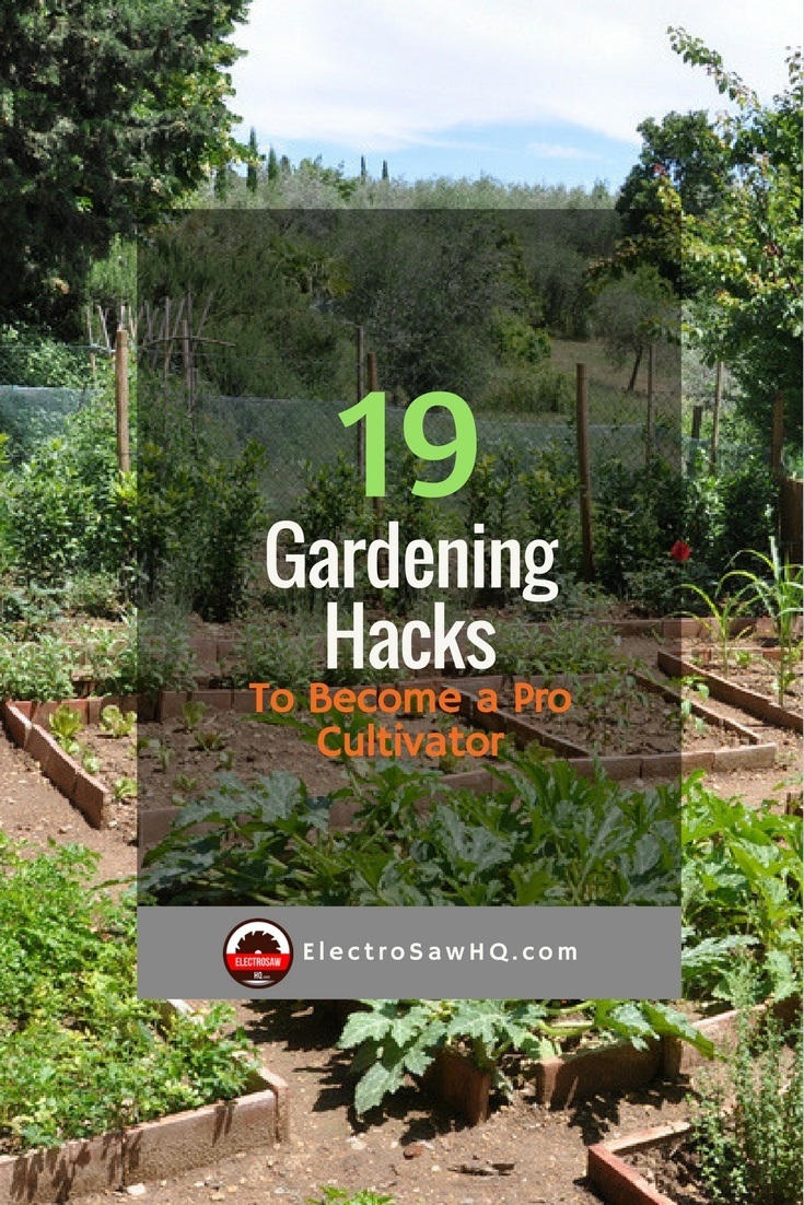 19 Gardening Hacks to Become a Pro Cultivator