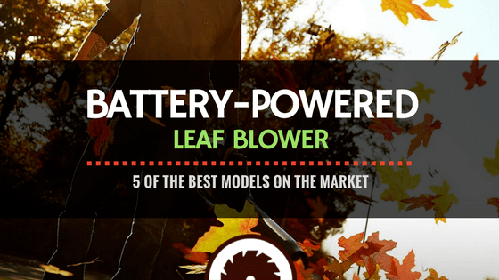 Battery Powered Leaf Blower Reviews