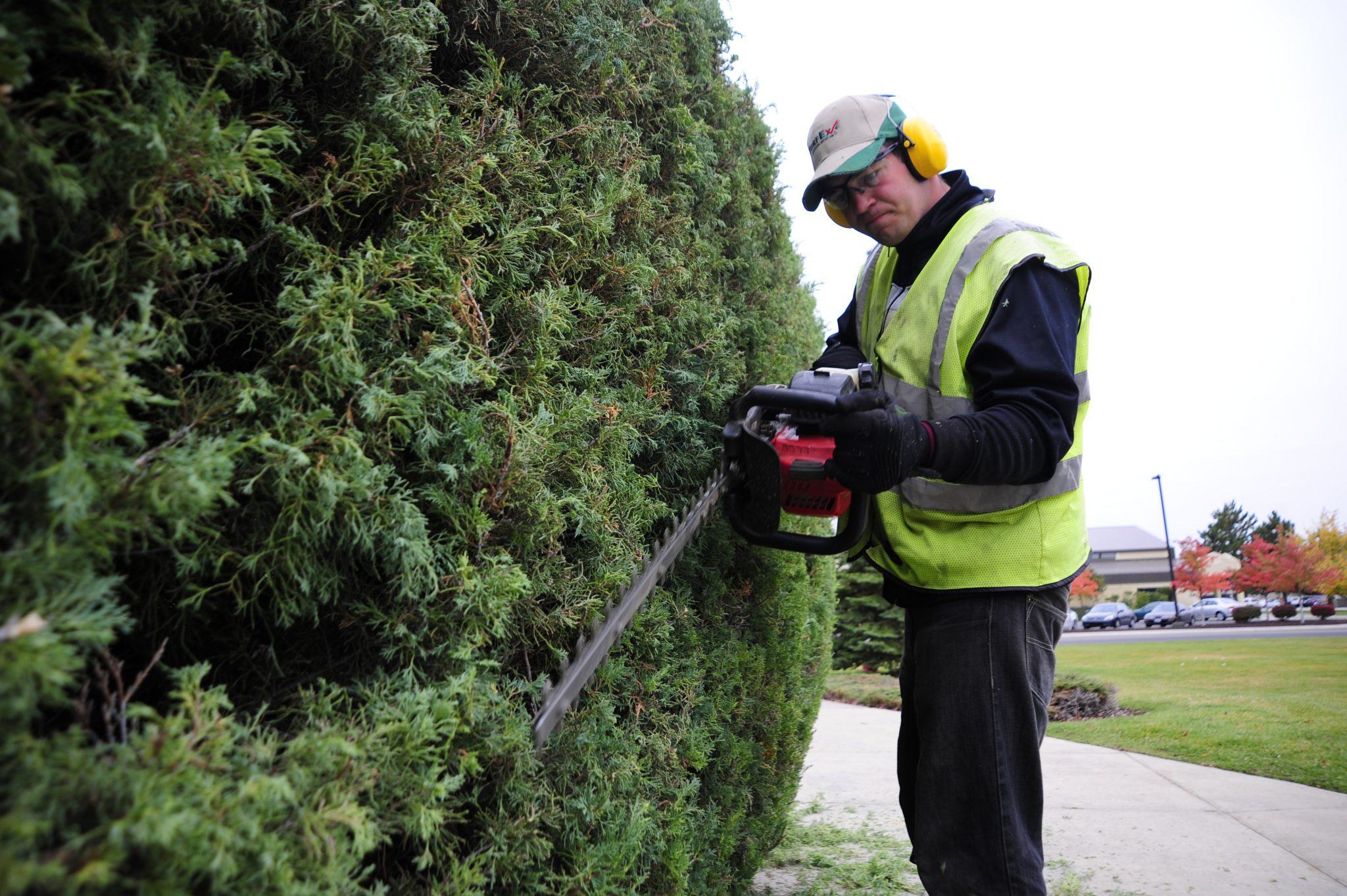 Battery-Powered Hedge Trimmer