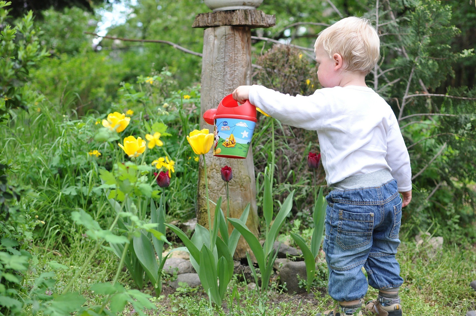 Kid Friendly Backyard Ideas-fill-the-backyard-kid-playing