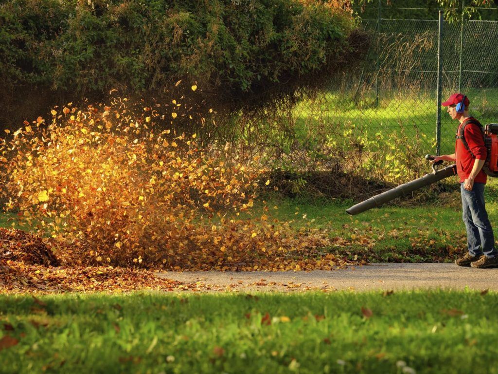 Battery Powered Leaf Blower Reviews Man operating a heavy duty leaf blower: the leaves are being swirled up and glow in the pleasant sunlight