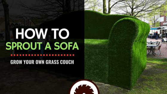 Sprout a Sofa: How to Grow Your Own Grass Couch