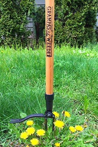 Best Weed Removal Tool