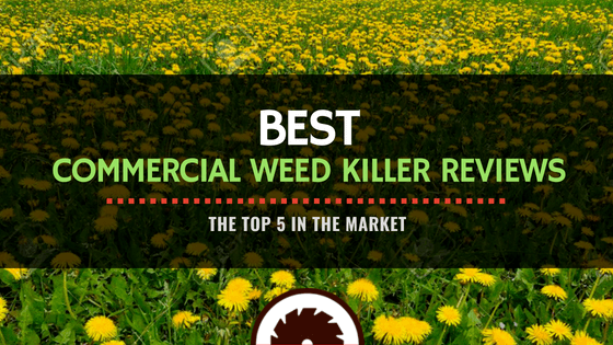 Best Commercial Weed Killer