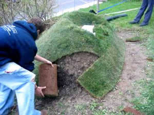 Sprout a Sofa DIY lawn couch
