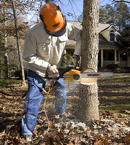corded-electric-chainsaw